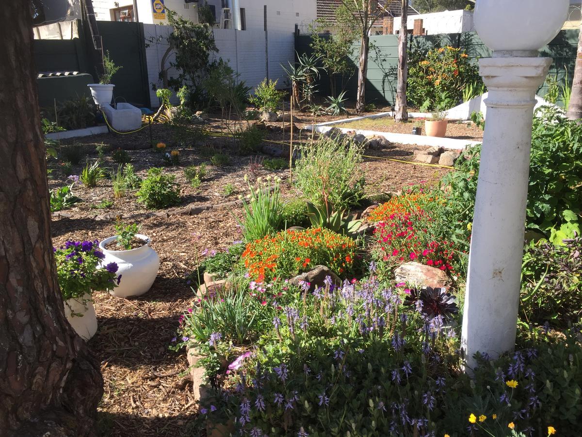 Howards End Manor B&B Cape Town Exterior photo